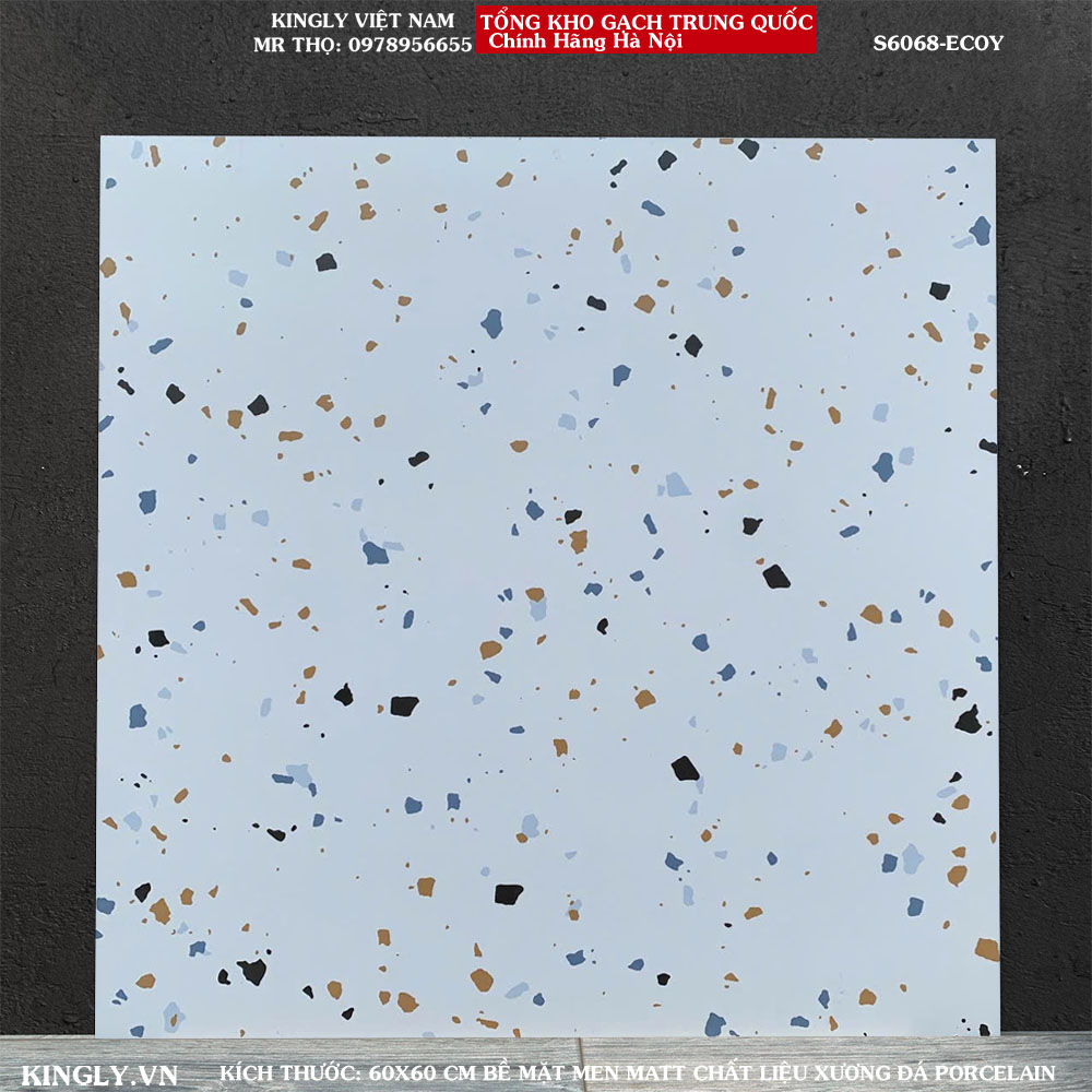 Gạch Terrazzo 60x60 S6068